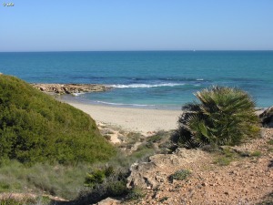 Cala Mosca (Orihuela costa, Alicante)