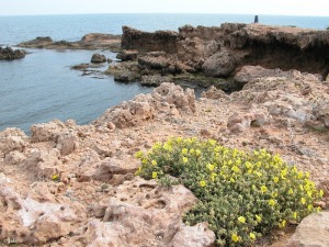 Cala Reona (Cartagena)