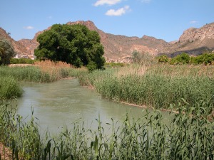 Salto de la Novia (Ojs)