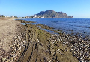 Playa fsil existente al noroeste de Calabardina. Al fondo Cabo Cope; culminando el relieve las calizas y dolomas jursicas malguides, bajo ellas las filitas y cuarcitas paleozoicas alpujrrides