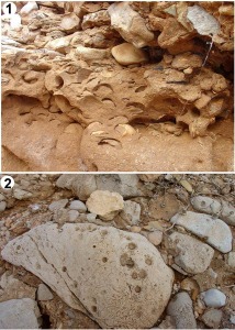 1- Conglomerados con restos de bivalvos de las partes distales de un abanico aluvial-deltaico. 2- Cantos perforados por bivalvos litfagos localizados en el abanico