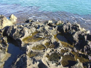 Detalle del lapiaz costero desarrollado sobre las areniscas oolticas (dunas fsiles) de Cabo Cope.
