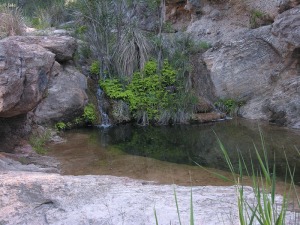 Rambla del Puerto (Murcia)