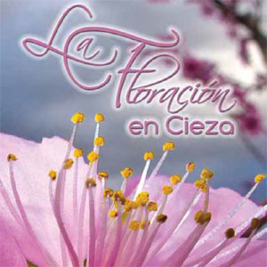 La Floracin. Cieza. Programa de Actividades