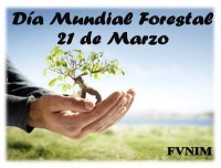 Da Mundial Forestal 2014