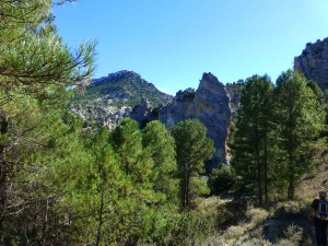 Estratos verticales de calizas jursicas en el cauce del Barranco del Cantalar. Al fondo la cima de Villafuerte