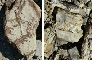 Mineralizaciones de hierro asociadas a cabalgamientos y rocas trisicas. Calizas con slex del Jursico medio