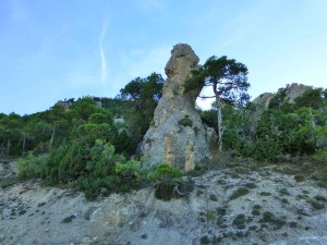 Pinculo dolomtico junto a la pista forestal del Cantalar