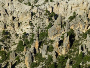 Fallas, diaclasas, mineraloga, estratigrafa, etc. son las culpables de esta magnfica obra de arte de la naturaleza