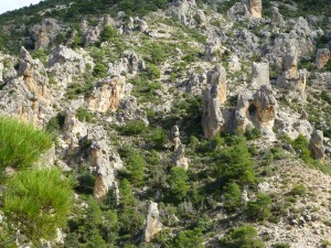 La vegetacin y la cabra monts se entremezclan con estas esculturas naturales