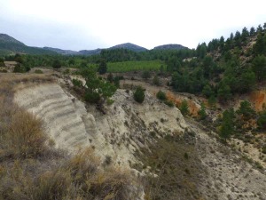 Terraza del Arroyo Alazor. Los estratos grises se formaron por el estancamiento del agua que dio lugar a zonas encharcadas con poco oxgeno