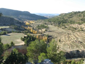 Los cauces actuales de los arroyos Blanco y Alazor y la Rambla de la Rogativa se encajan en grandes terrazas fluviales, las superficies planas de cultivo