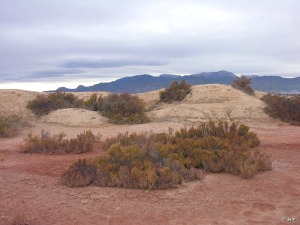 Saladares del Guadalentín (al fondo Sierra Espuña)