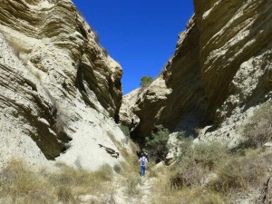 Entrada al desfiladero yesfero del Barranco del Infierno