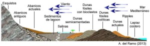Corte geolgico de Calblanque