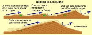 Origen de las dunas
