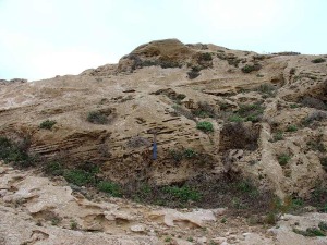 Playa de las Caas; detalle de la laminacin cruzada generada por el avance de la duna desde la costa hacia el interior, generado por el viento de levante