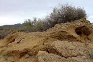 Dunas elicas semicementadas localizadas unos 400 m al norte de la playa de las Caas