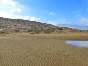 En primer plano ripples elicos. Al fondo una duna rampante actual (tonos amarillentos) que asciende por el cordn de dunas fsiles (tonos grisceos claros)