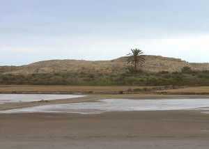 Lagoon ocupado parcialmente por las salinas del Rasall. Al fondo el cordn de paleodunas que lo asla del mar por el sur