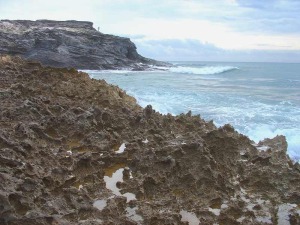 En la zona de rompiente del oleaje el lapiaz costero (Cala del Magre) es modelado por la abrasin del oleaje y por gasterpodos de los gneros Patella, Monodonta y Melaraphe