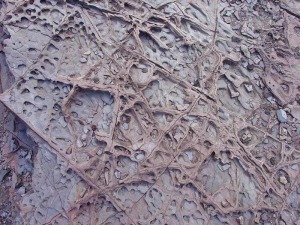 Esquistos grafitosos de Punta Negra con diaclasas rellenas de siderita y xidos de hierro