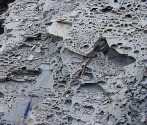 Esquistos grafitosos de Punta Negra con alveolos generados por la haloclastia y el viento