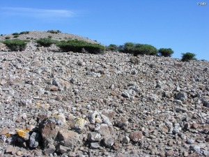 Isla del Ciervo