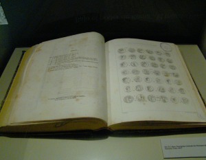 esoros. Materia, ley y forma - Sala III