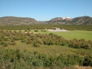 Estribaciones de la Sierra del Gigante (Lorca)