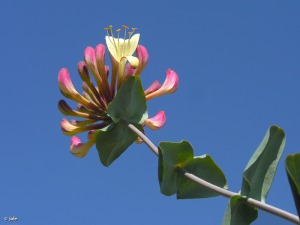 Cumbres de Sierra Espua