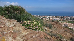 Monte El Carmol (Cartagena)