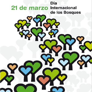 21 de Marzo - Da Internacional de los Bosques