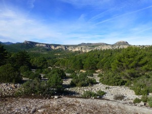 Panormica de la cabecera de Hondades desde el Collado Quintero. En primer plano una superficie de estrato del Eoceno que posee foraminferos. 