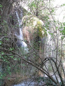 El arroyo Hondares genera dos cascadas en su cabecera muy hermosas donde la vegetacin se acobija.   