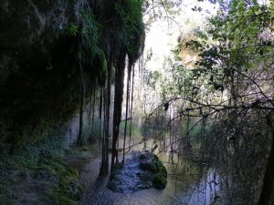 Detalle de la segunda cascada, donde la vegetacin y la cal del agua estn formando columnas, algunas mviles. 