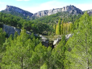 Panormica del salto que forma las cascadas 