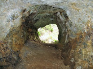 Galera minera de Hondares. En sus paredes se pueden ver mineralizaciones de sulfuros y xidos y niveles de carbn.  