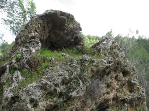 Detalle de un bloque de travertinos de los baos de Somogil. 