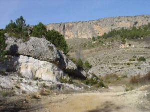 Areniscas silceas y conglomerados fluviales indican una retirada del mar en el Eoceno, una discontinuidad.  