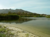 La laguna salobre de la rambla de las Moreras constituye un humedal de gran riqueza ornitolgica. Obsrvese el yeso (color blanco) precipitado en sus orillas [Bolnuevo]