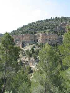 Detalle de las calizas cretcicas del Puntal del Marqus. 