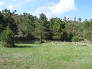 Dolina del Poyo Hondo, sierra de los Álamos. 