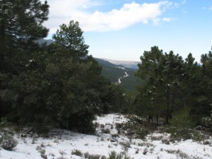 Panorámica de la ladera norte de la sierra de los Álamos, con la pista forestal nevada. 