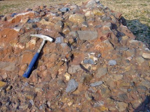Detalle de los conglomerados brechoides, cuyos cantos provienen de la erosin de rocas alpujrrides y malguides 