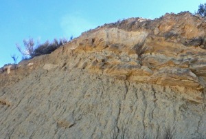 En la parte inferior, las margas pelgicas, sobre ellas depsitos litorales areniscosos messinienses, que representan el inicio de la desecacin del Mediterrneo 