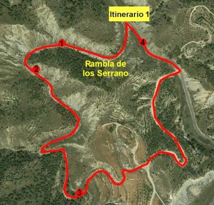 Itinerario 1. Rambla de los Serrano 