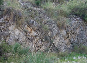 Estratos plegados de calizas en las proximidades de la senda de los Forestales 