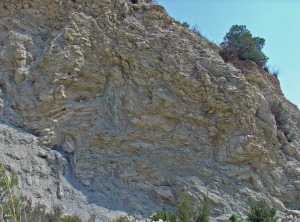 Estratos de margocalizas arenosas deslizados y replegados (slump) que yacen sobre margas. Ambos del Cretácico inferior 