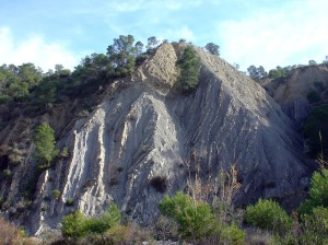 Alternancia de margas (gris oscuro) y margocalizas (gris amarillento) que evocan cambios climticos peridicos, hace unos 113 millones de aos 